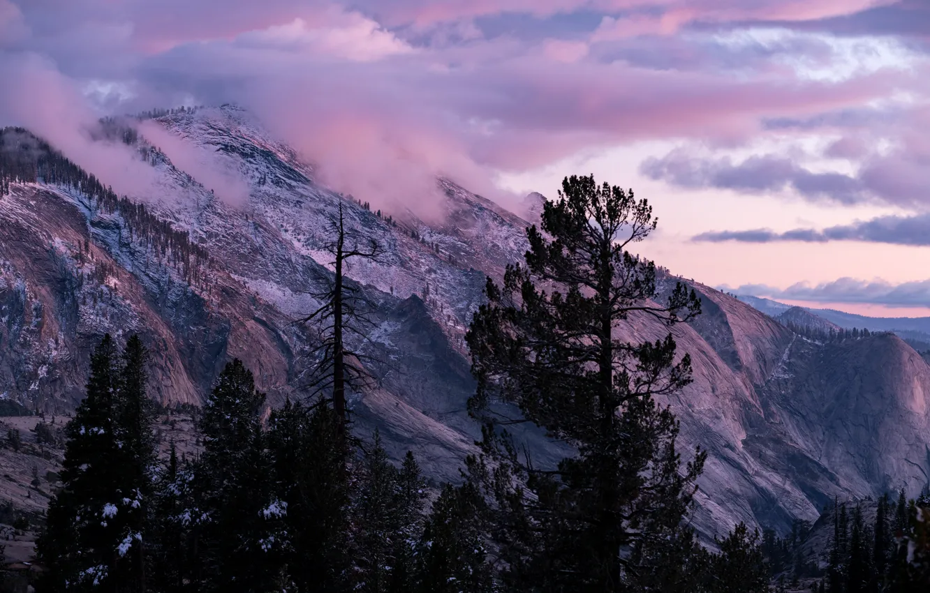 Фото обои зима, небо, облака, снег, деревья, закат, горы, природа, скалы, США, Йосемити