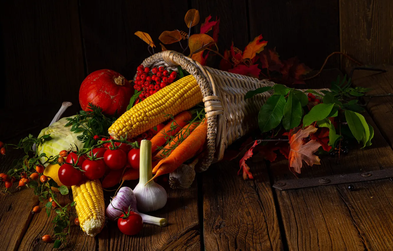 Фото обои листья, ягоды, корзина, доски, кукуруза, шиповник, тыква, овощи, помидоры, морковь, рябина, рог, чеснок