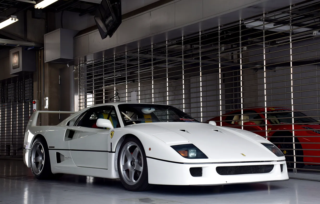 Фото обои Ferrari, F40, White