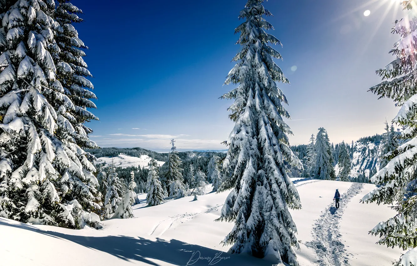Фото обои зима, солнце, лучи, снег, деревья, пейзаж, горы, природа, ели, Польша, тропинка, Горце