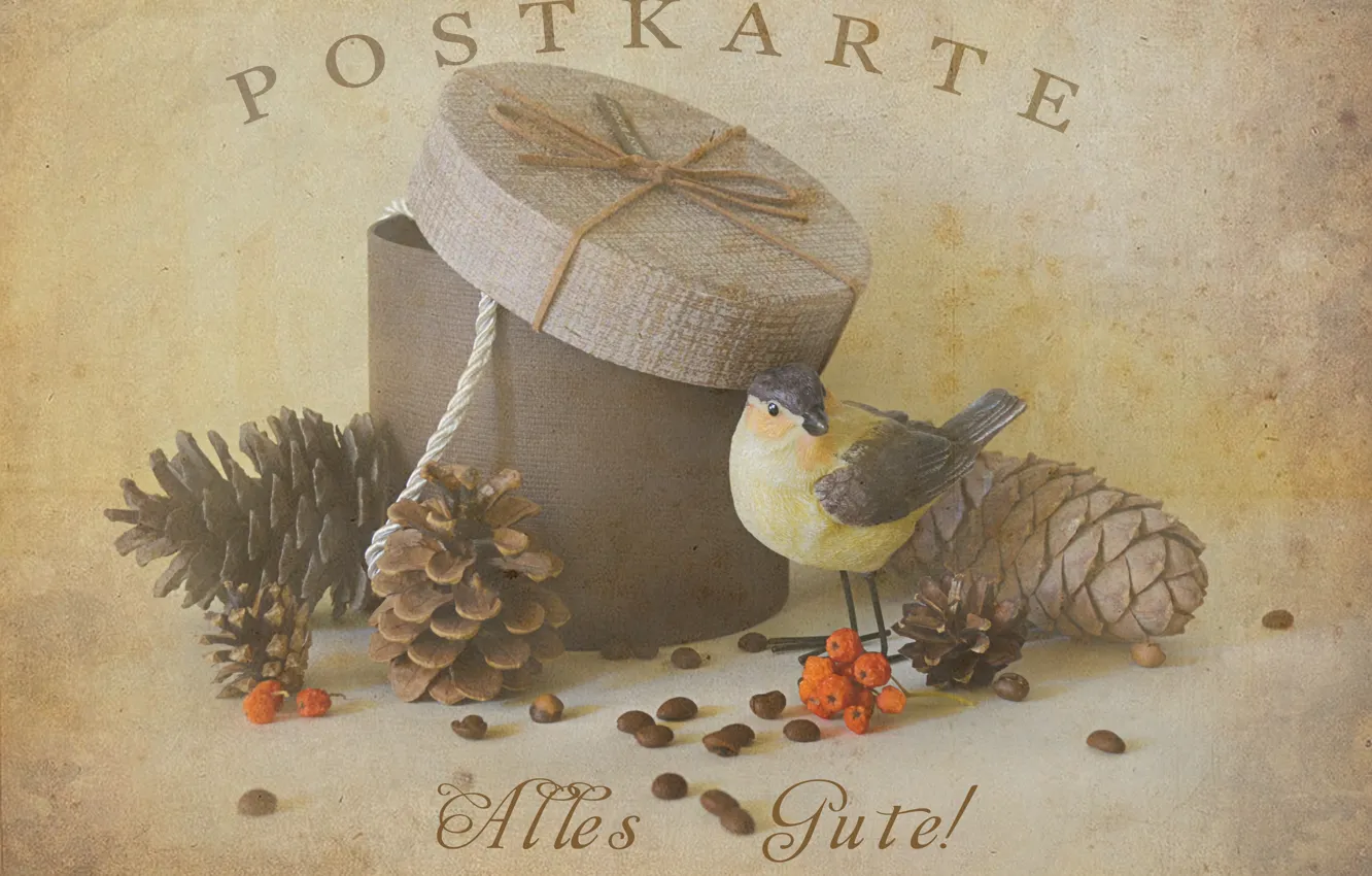 Фото обои коробка, семена, статуэтка, птичка, орехи, шишки, предметы, рябина, старая открытка