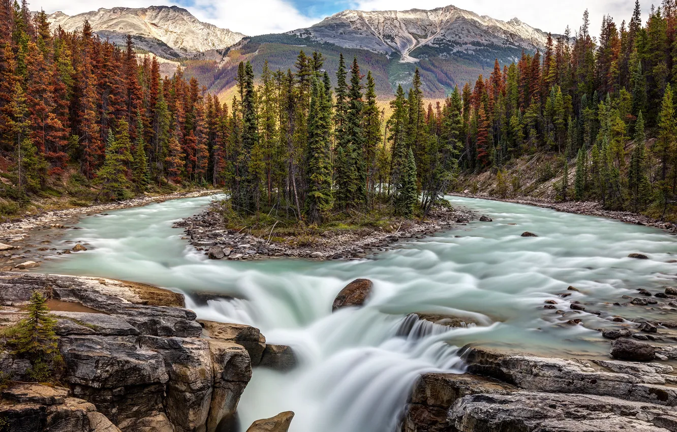 Обои лес, деревья, река, водопад, Канада, Альберта, Alberta, Canada ... Канада Обои