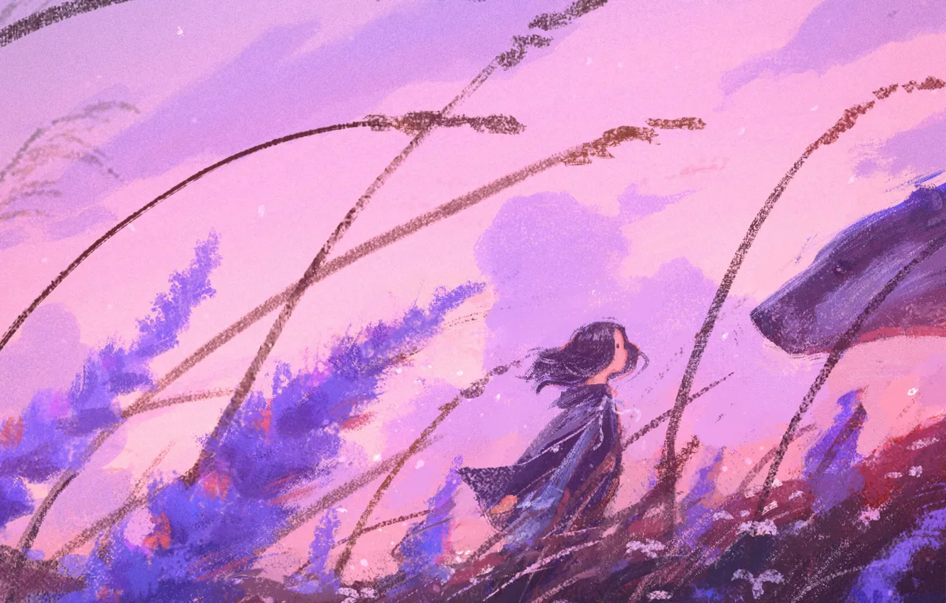 Фото обои поле, девушка, цветы, ветер, арт