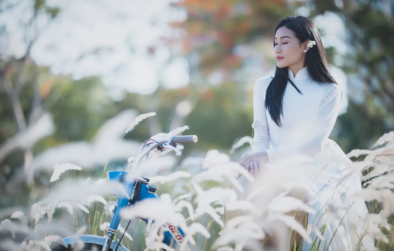 Фото обои девушка, природа, велосипед, колоски, азиатка