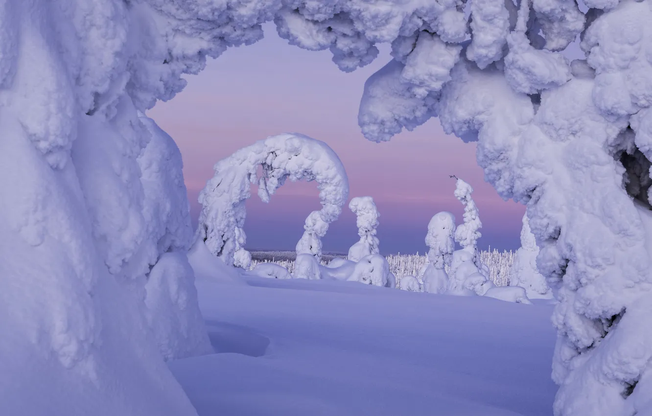 Фото обои зима, winter, сказочный, финляндия, finland, laplandia