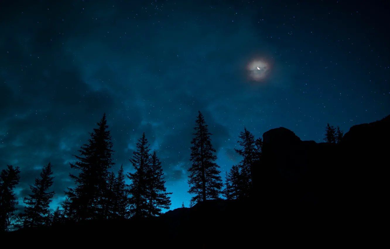 Фото обои Небо, Ночь, Звезды, Луна, Лес, Канада, Ель, Месяц, Национальный Парк Банф
