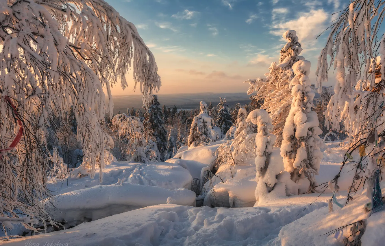 Зимний пейзаж Пермский край