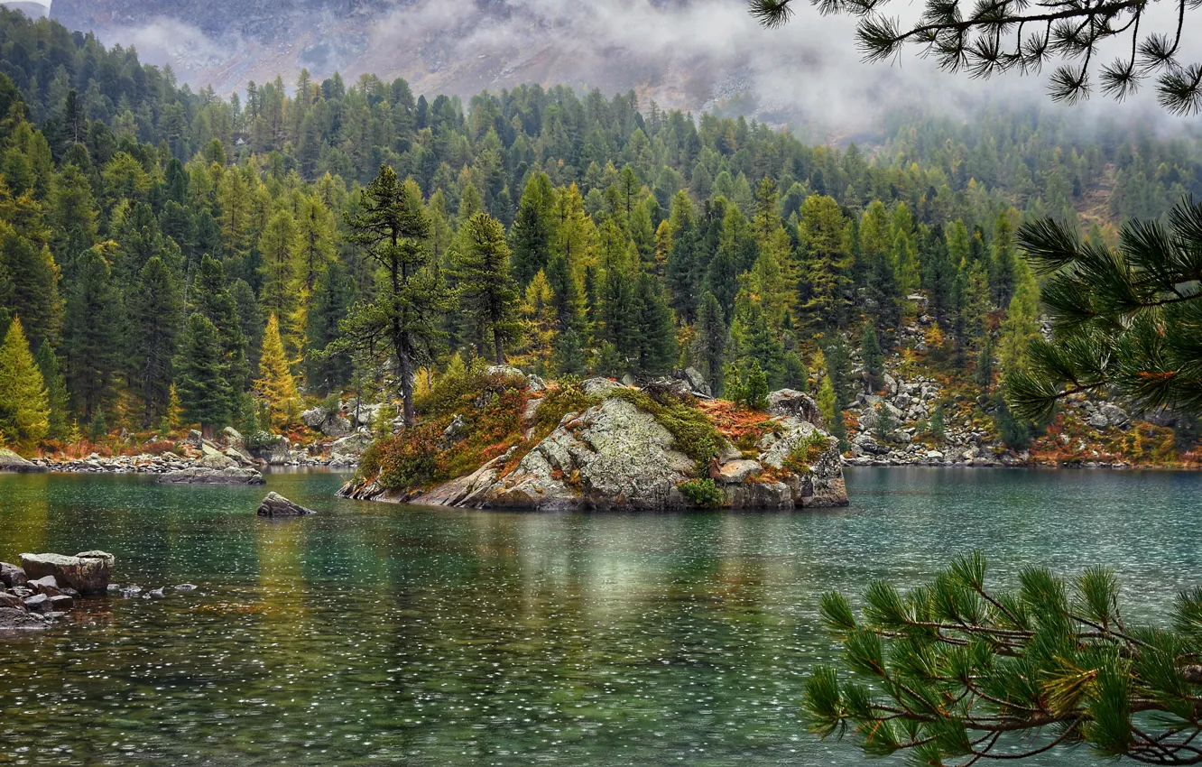 Фото обои forest, river, mountains, lake, fog