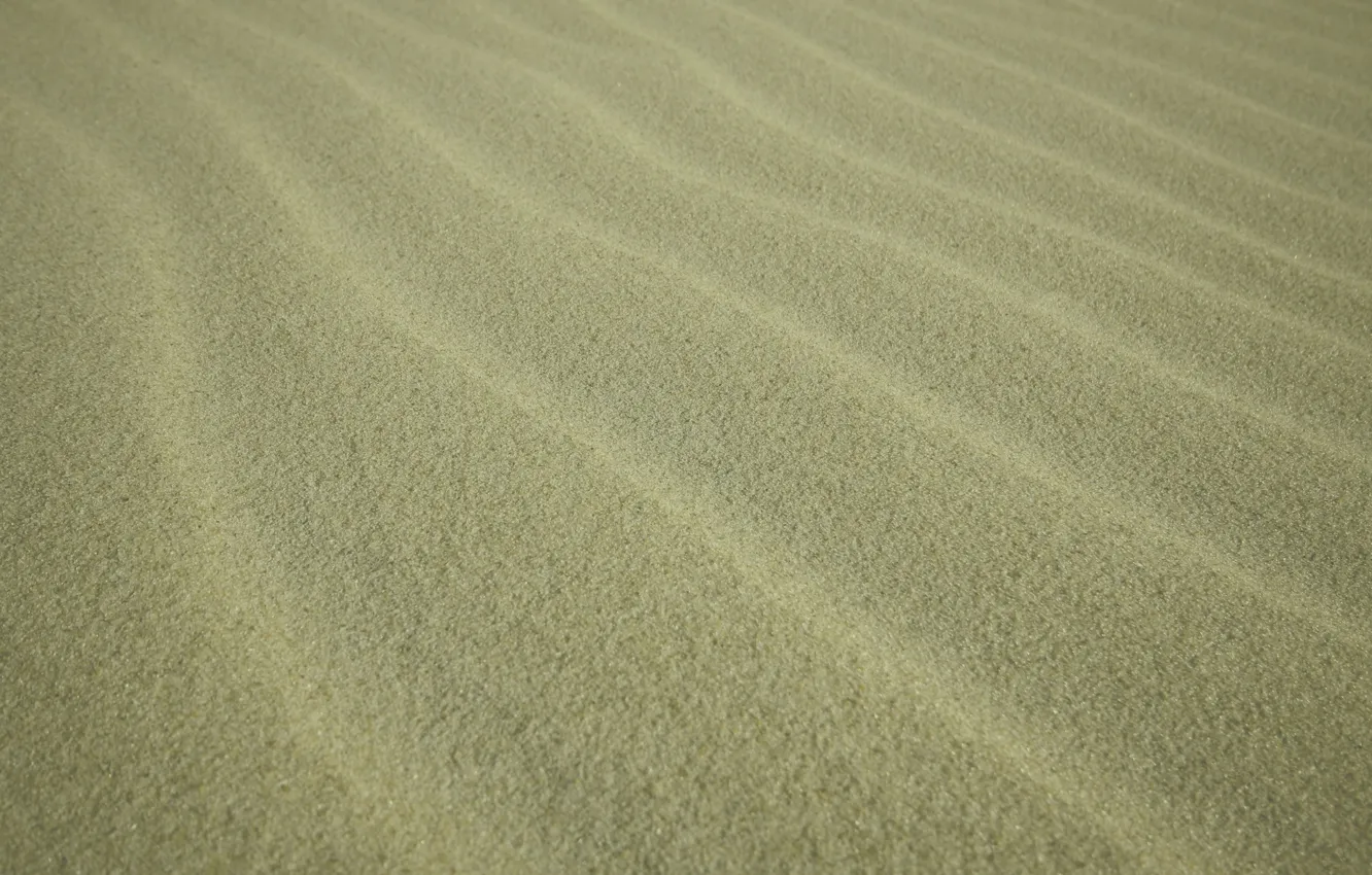 Фото обои фон, пустыня, Песок, текстура
