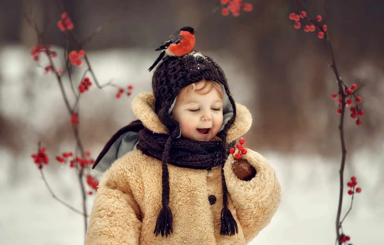 Фото обои зима, ягоды, настроение, птица, мальчик, снегирь, шапочка, шубка, Елена Соловьёва