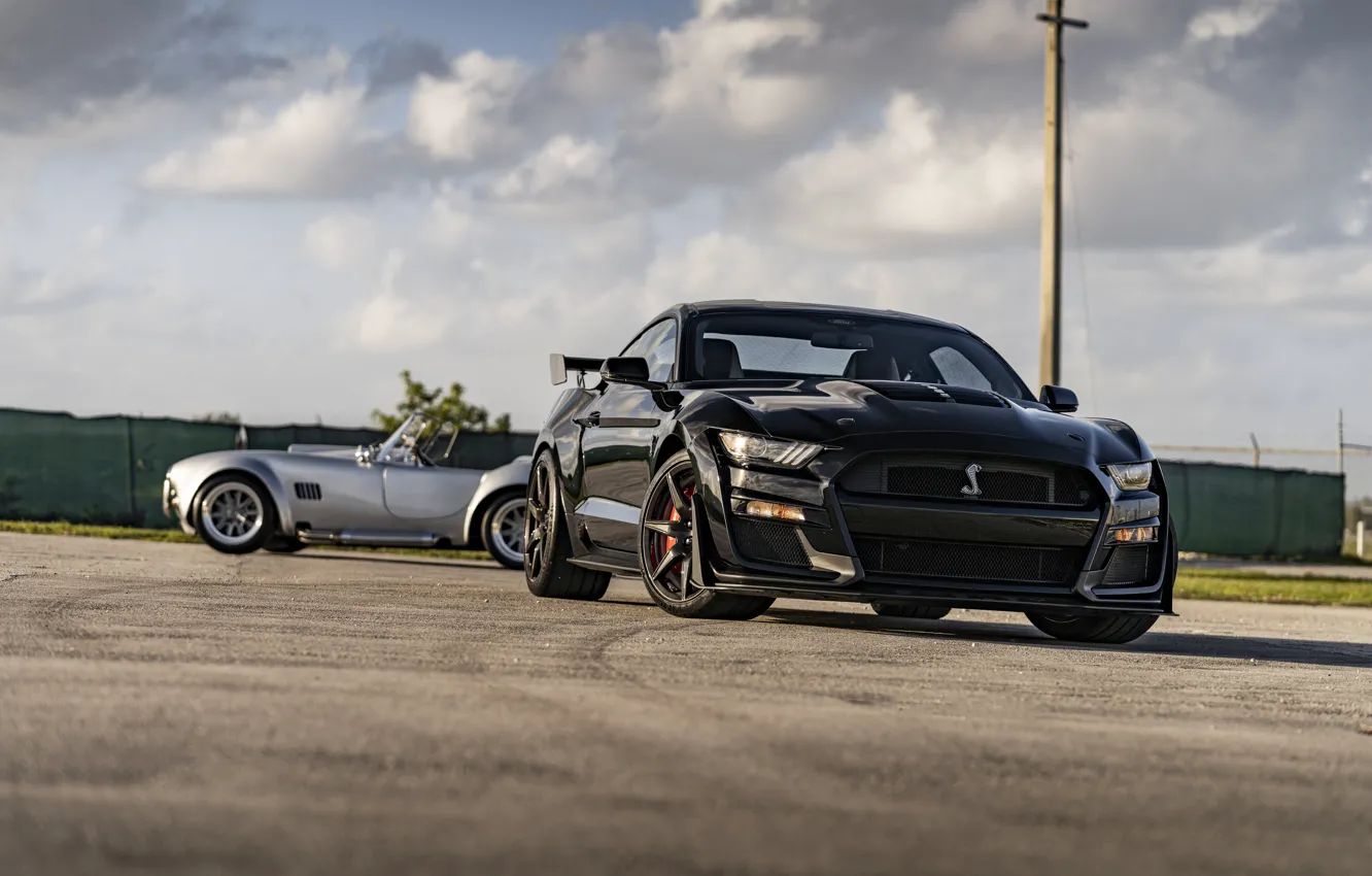 Фото обои Mustang, Ford, Shelby, GT500, Cobra, Silver, Duet