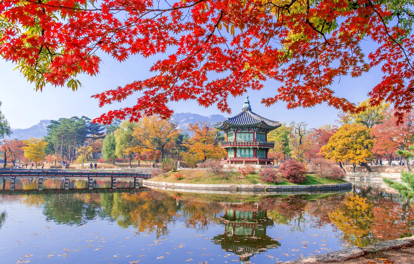 Фото обои осень, листья, деревья, парк, nature, park, autumn, lake, leaves, tree, Korea, temple