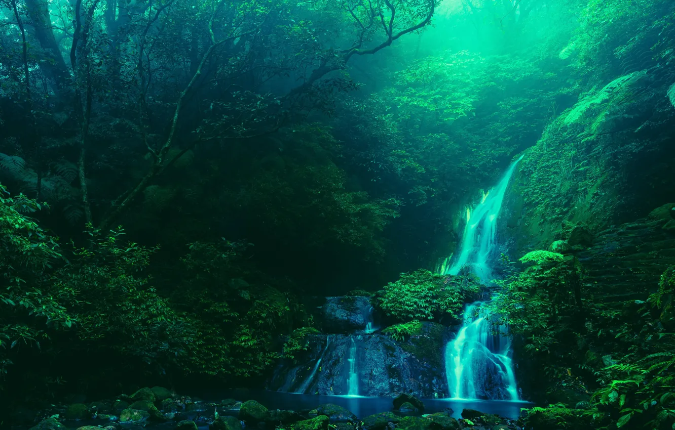 Фото обои вода, деревья, природа, ручей, камни, водопад, Тайвань, ступеньки, Национальный парк Янминшань