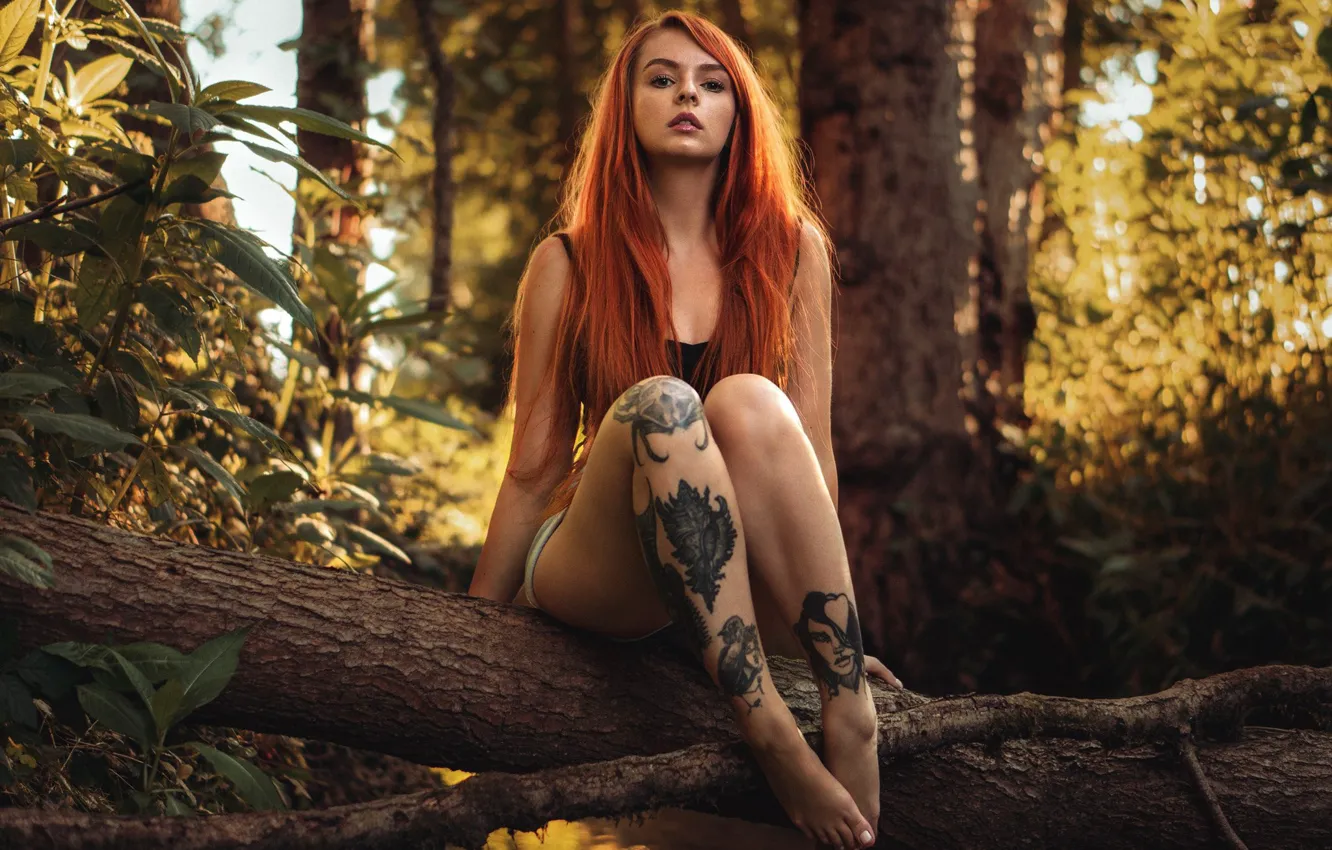 Фото обои girl, Beautiful, nature, jeans, redhead, tattoos, sitting, Martin Kuhn, shors