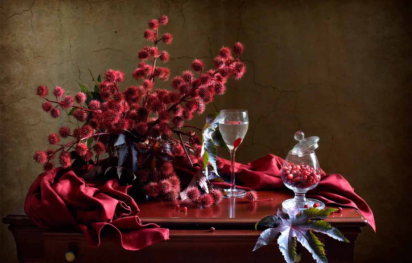 Фото обои ветки, ягоды, бокалы, ткань, натюрморт, столик, клюква, клещевина