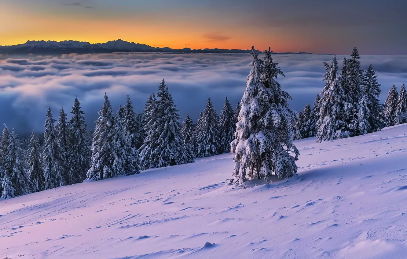 Закат Зимой Фото