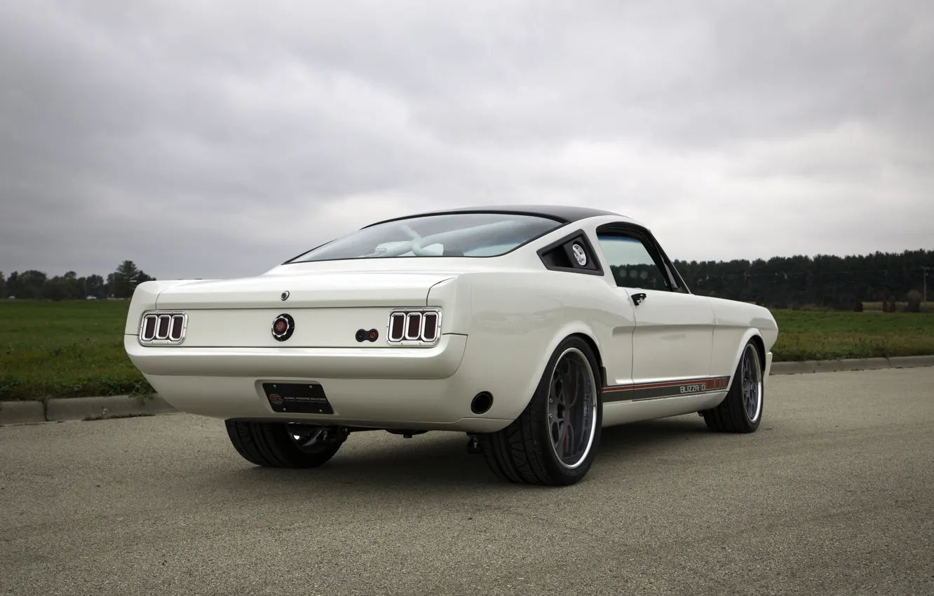 Фото обои Ford, Ford Mustang, Blizzard, 1965, White, Fastback, Side, Rear, Ringbrothers, Mustang 1965