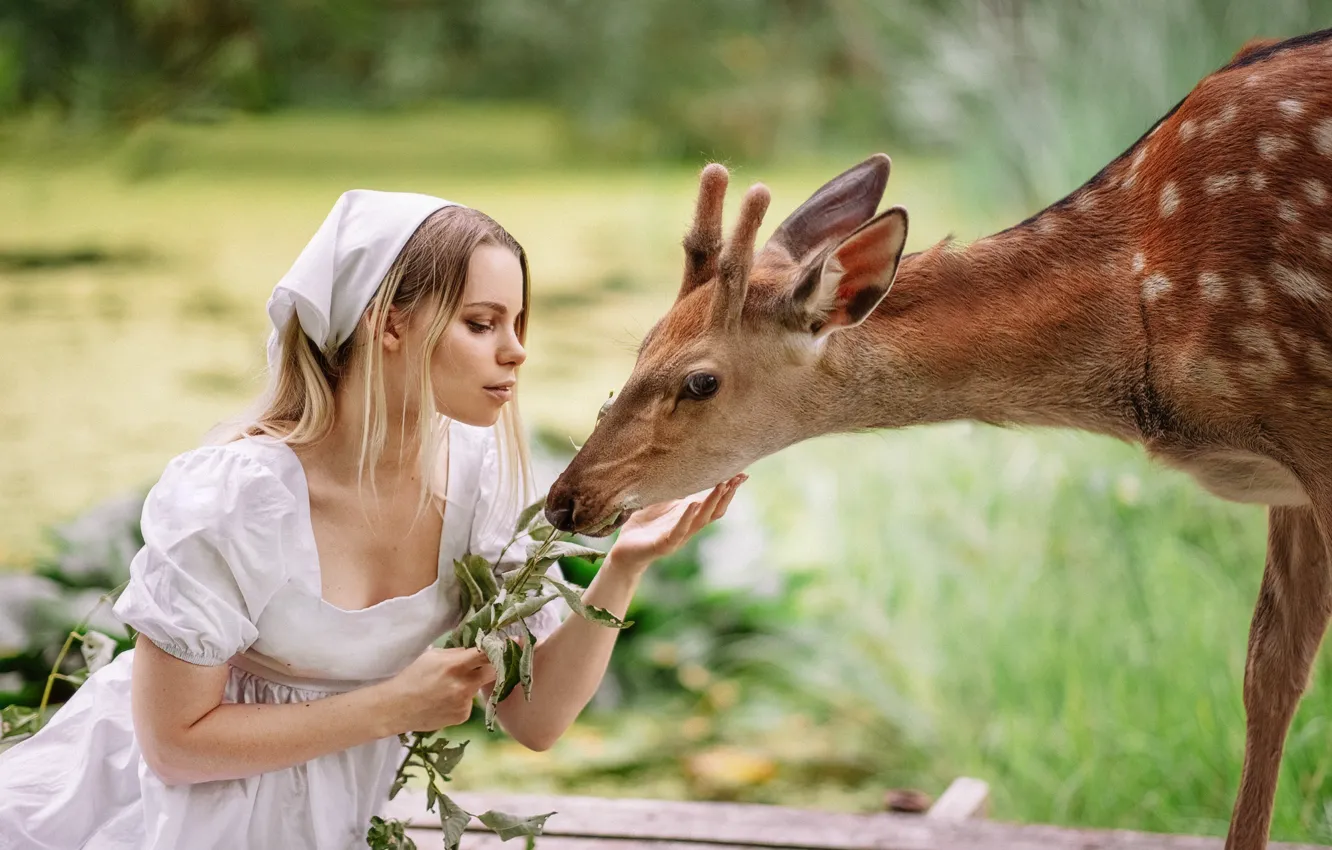 Фото обои девушка, природа, животное, олень, кормление, Александра Савенкова