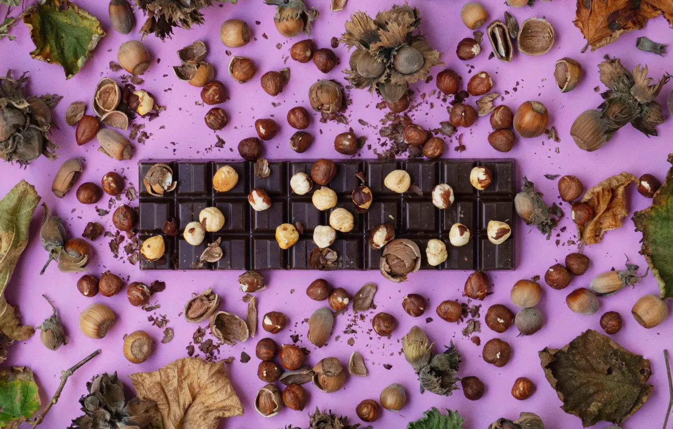 Фото обои скорлупа, плитка шоколада, лесные орехи, сухие листья