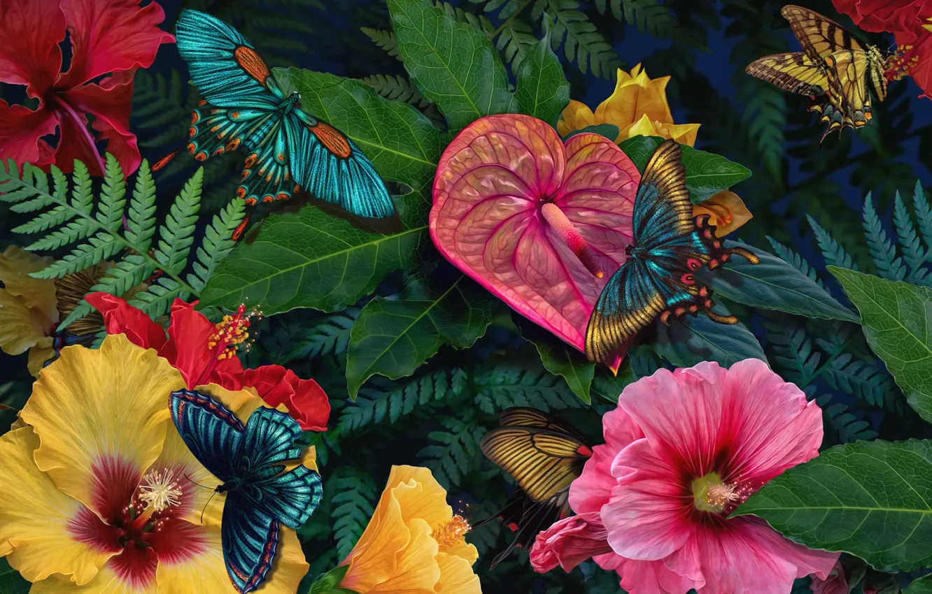 Фото обои бабочки, цветы, butterfly, flowers