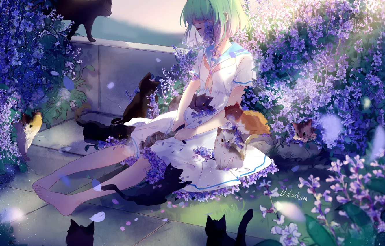 Фото обои грусть, кошки, девочка, котята, зеленые волосы, сиреневые цветочки, босая, матроска, lluluchwan