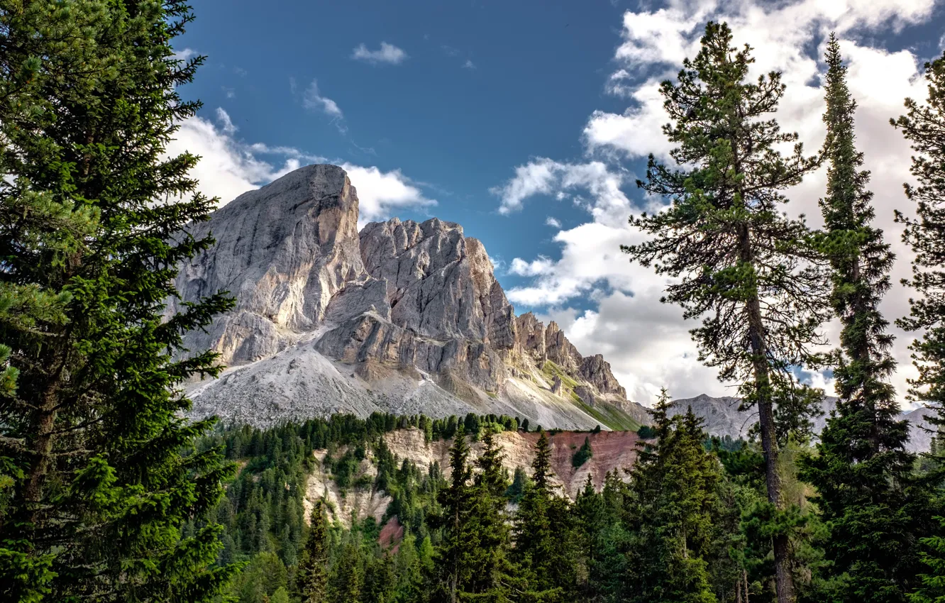 Фото обои лес, небо, облака, деревья, горы, природа, скалы, Италия, South Tyrol, San Martino In Badia
