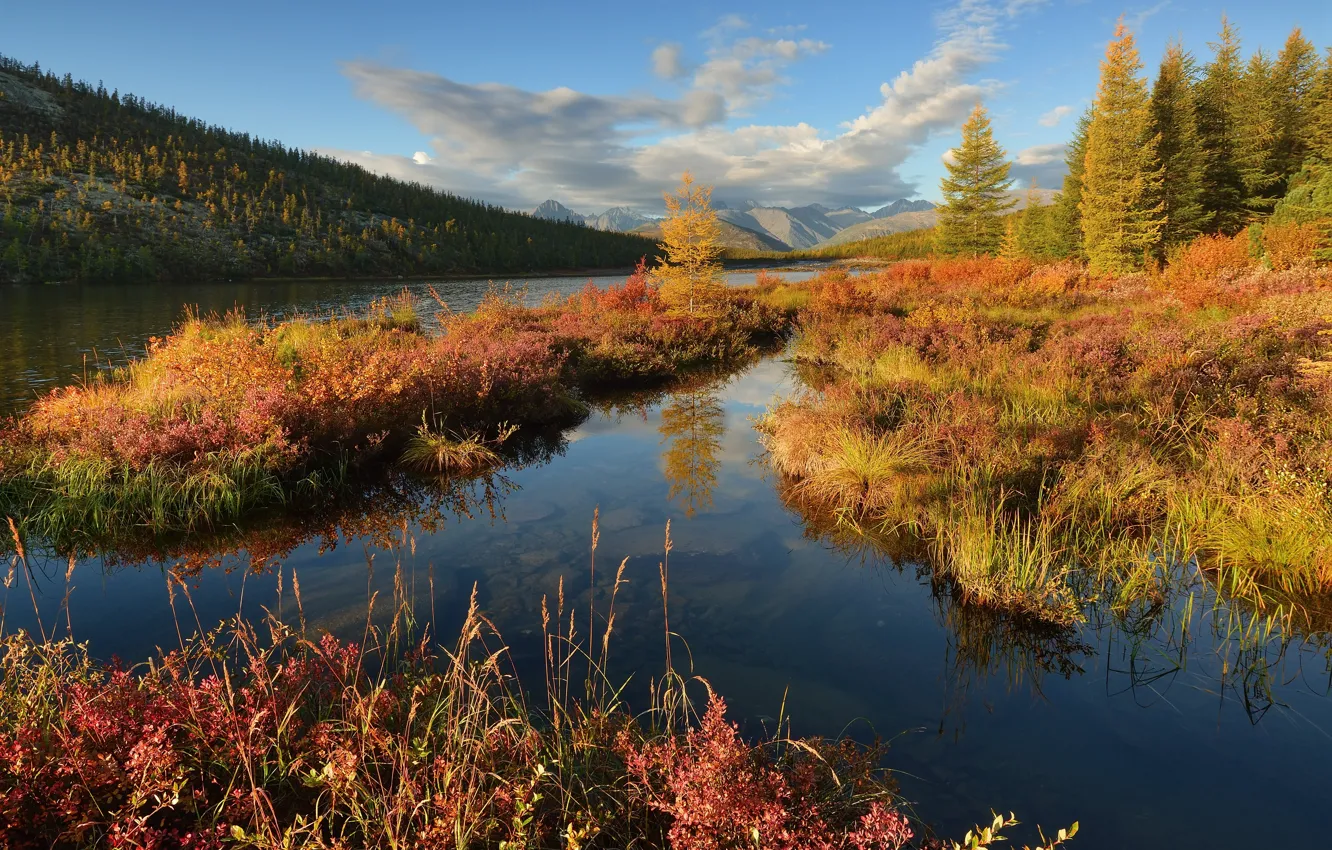 Фото обои осень, пейзаж, горы, природа, озеро, утро, леса, Колыма, Максим Евдокимов