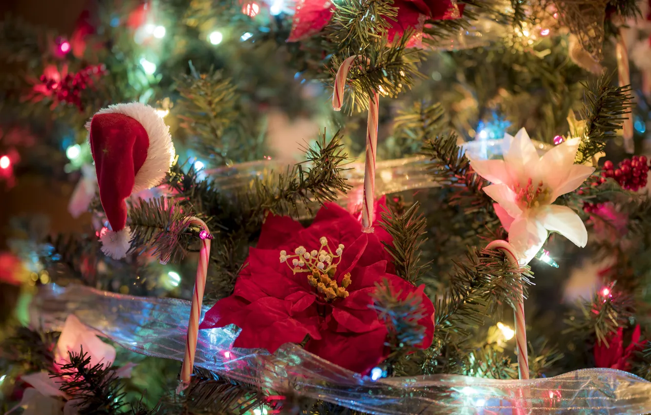 Фото обои украшения, цветы, ветки, ленты, праздник, игрушки, новый год, рождество, ёлка, лампочки