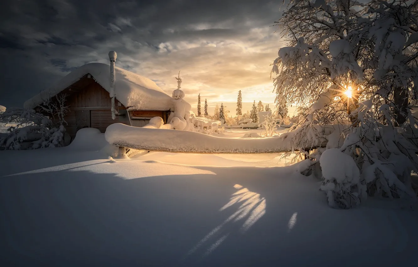Фото обои зима, солнце, лучи, снег, деревья, пейзаж, природа, дом, тени