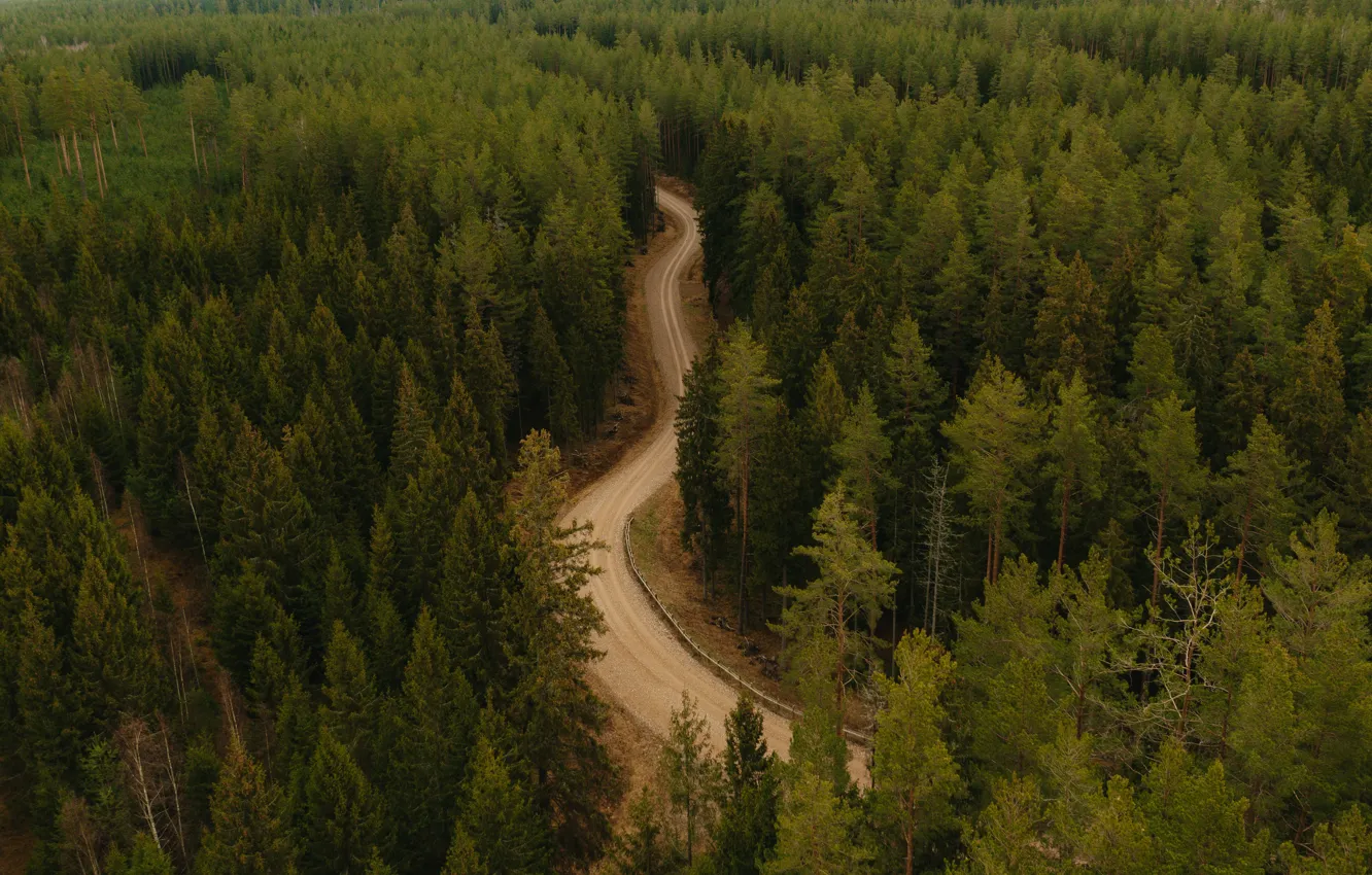Фото обои дорога, лес, деревья, пейзаж, природа, вид сверху