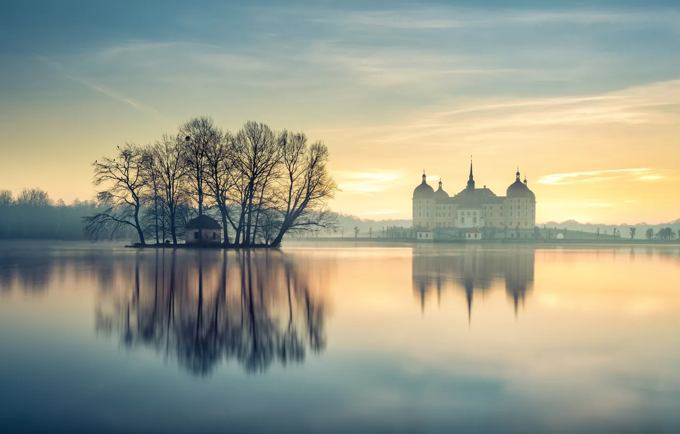 Фото обои деревья, туман, пруд, отражение, замок, рассвет, утро, Германия, островок, Germany, Саксония, Saxony, Moritzburg Castle, Замок …