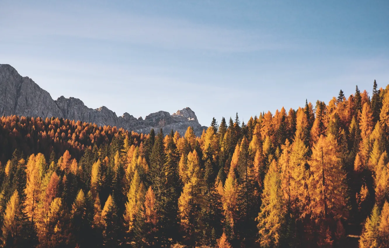 Фото обои осень, лес, небо, облака, деревья, горы, природа, скалы, Италия, Lago Di Sorapis