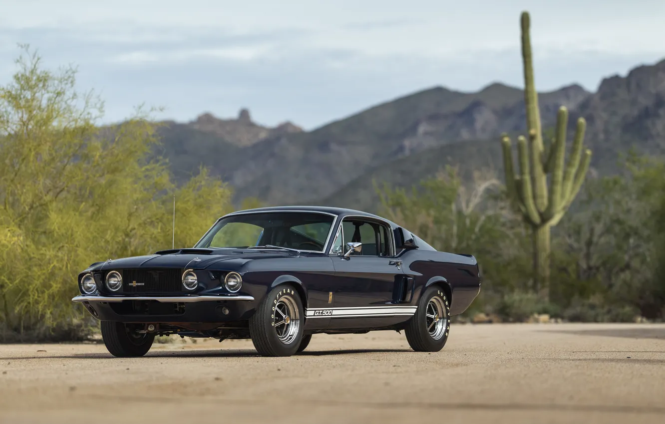 Фото обои Mustang, Shelby, GT500, 1967