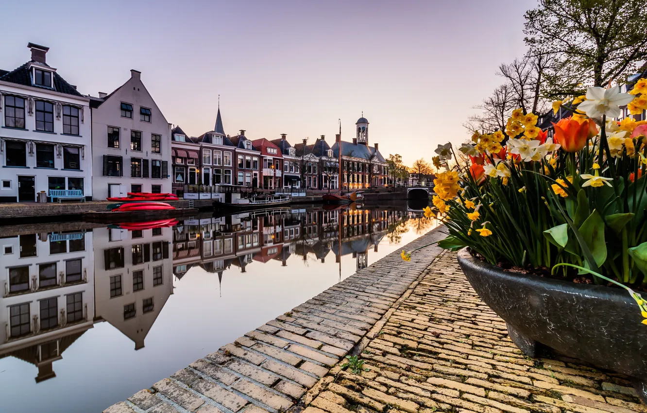 Обои цветы, весна, канал, Нидерланды, Голландия, апрель, Доккюм, Доккум картинки на рабочий стол, раздел город - скачать