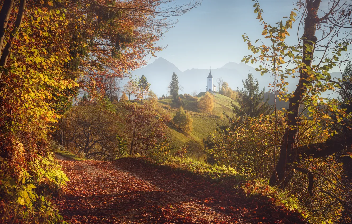 Фото обои осень, деревья, пейзаж, горы, природа, холм, церковь, Словения