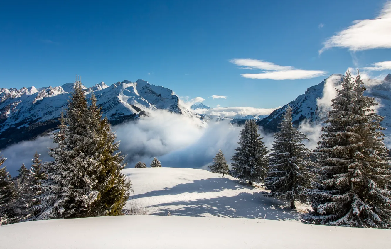 Фото обои зима, небо, снег, деревья, пейзаж, горы, природа, туман, ели