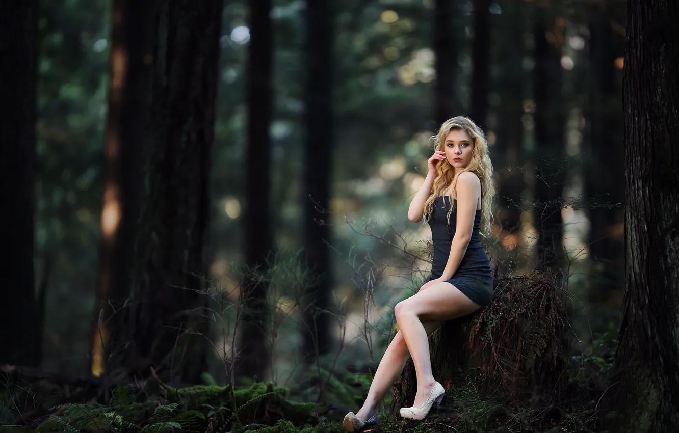 Фото обои лес, взгляд, девушка, волосы, мох, пень, блондинка, ножки