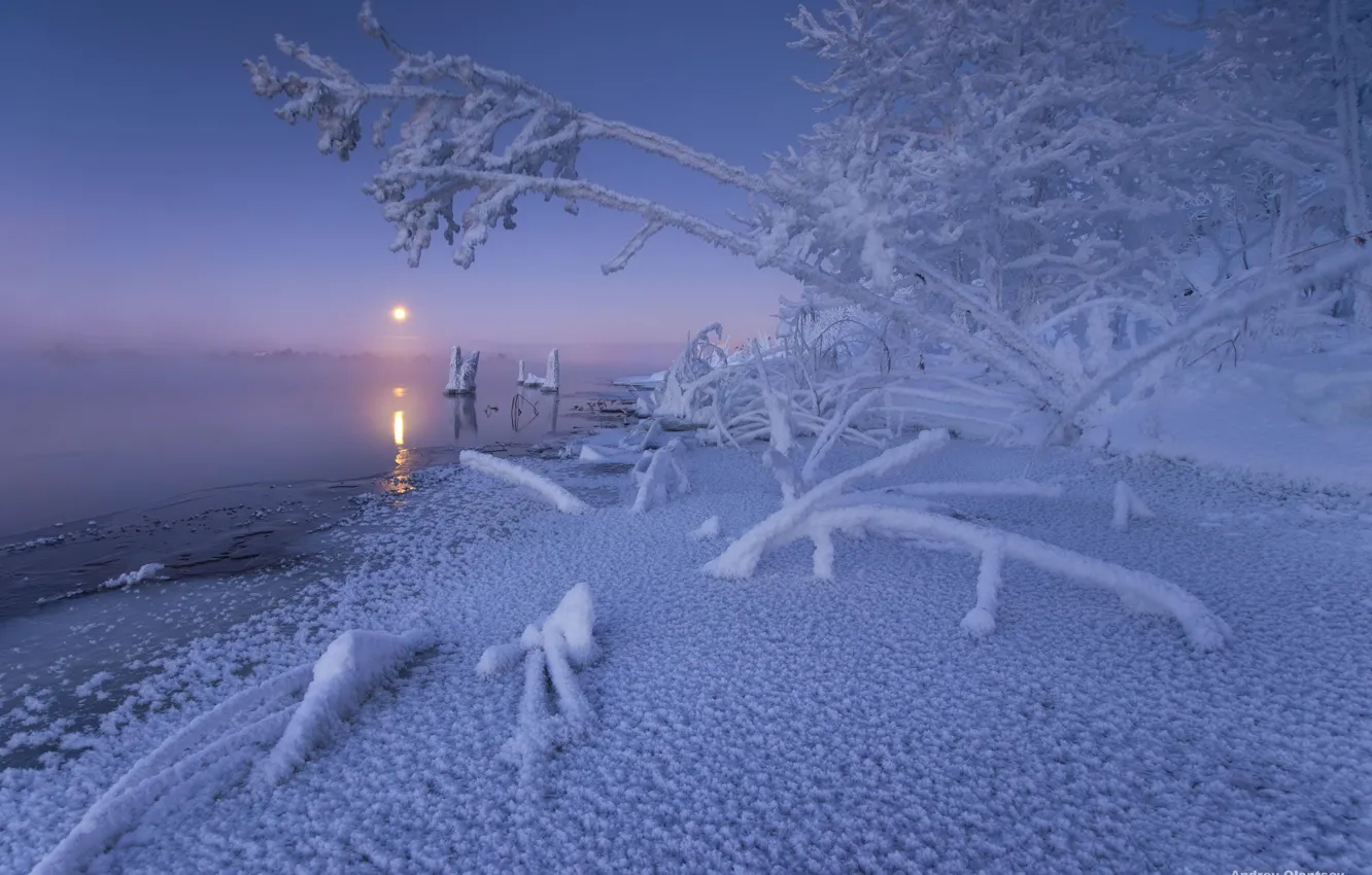 Фото обои зима, снег, деревья, река, рассвет, утро, Россия, Московская область, Андрей Олонцев, Река Дубна