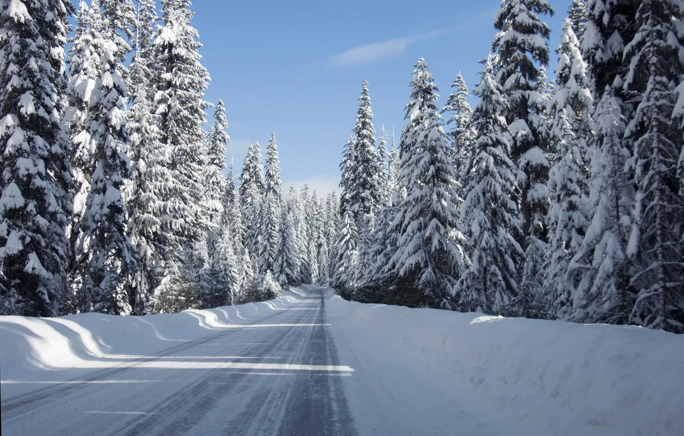 Фото обои зима, дорога, снег, пейзаж, road, landscape, winter, snow, tree