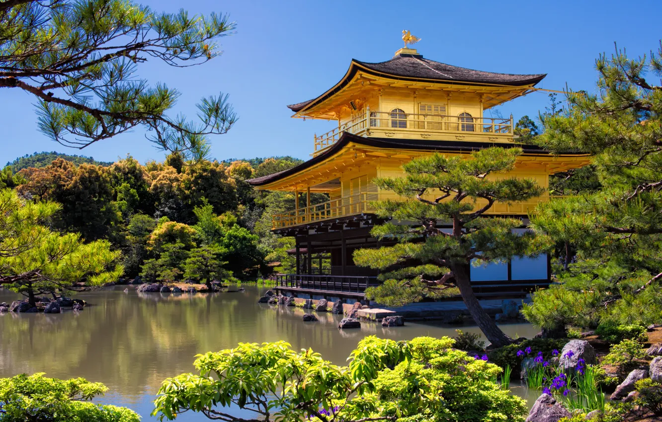 Фото обои деревья, пейзаж, природа, пруд, парк, вилла, Япония, храм, Киото, павильон, Золотой павильон, Кинкаку-дзи, Рокуон-дзи