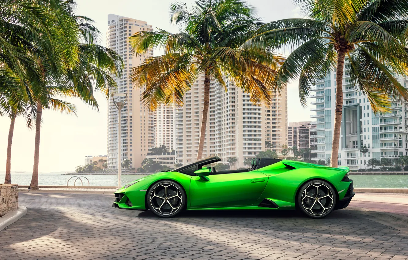Фото обои машина, пальмы, здания, Lamborghini, спорткар, Spyder, Evo, Huracan