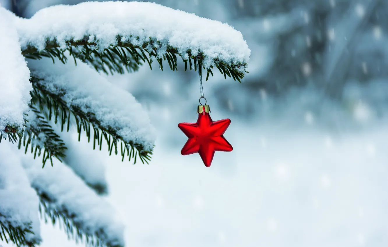 Фото обои зима, снег, звезда, елка, ветка, Новый Год, Рождество, christmas, winter, snow, merry, decoration, red star, …