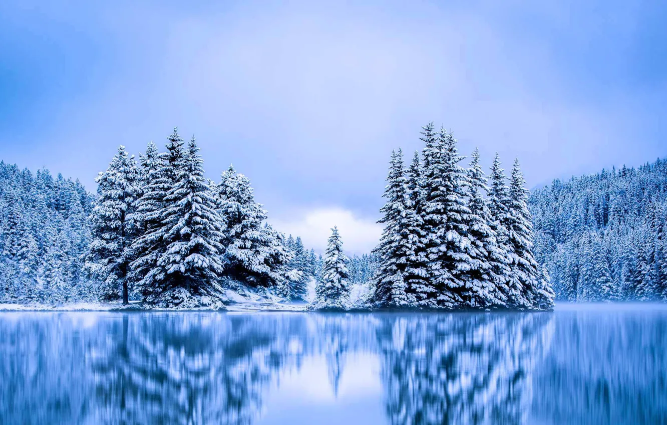 Обои зима, деревья, Канада, Альберта, Banff National Park, Two Jack ... Канада Обои