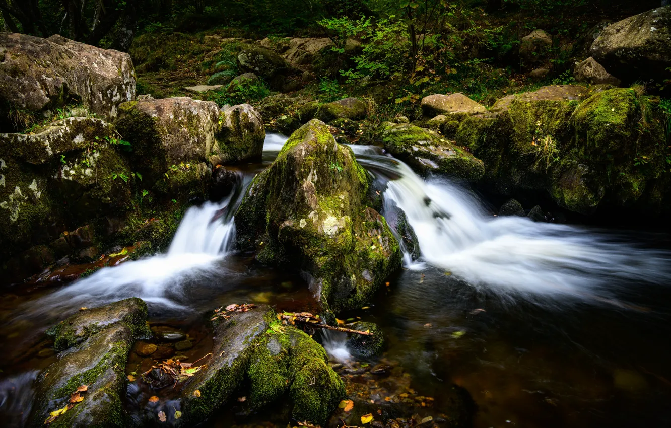 Фото обои ручей, камни, Англия, мох, Lake District, Cumbria
