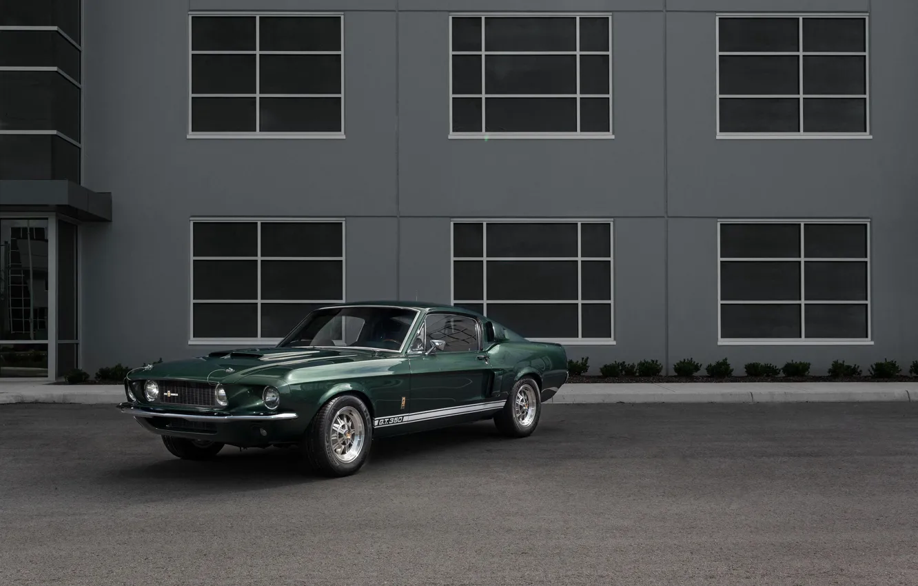 Фото обои Ford Mustang, 1967, Muscle car, Shelby GT350