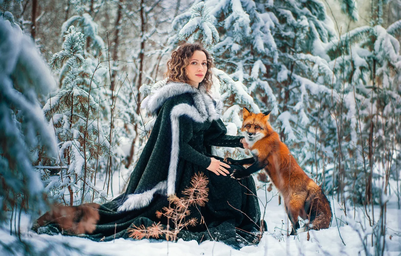 Фото обои зима, лес, девушка, снег, лиса, рыжая, Елена, на природе, Александра Савенкова