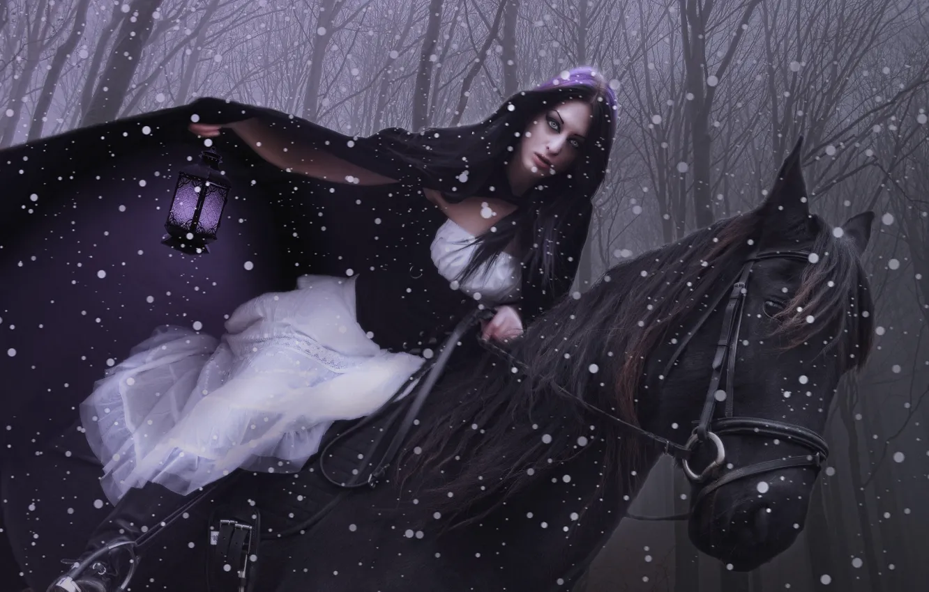 Фото обои девушка, лошадь, фонарь, наездница, плащ