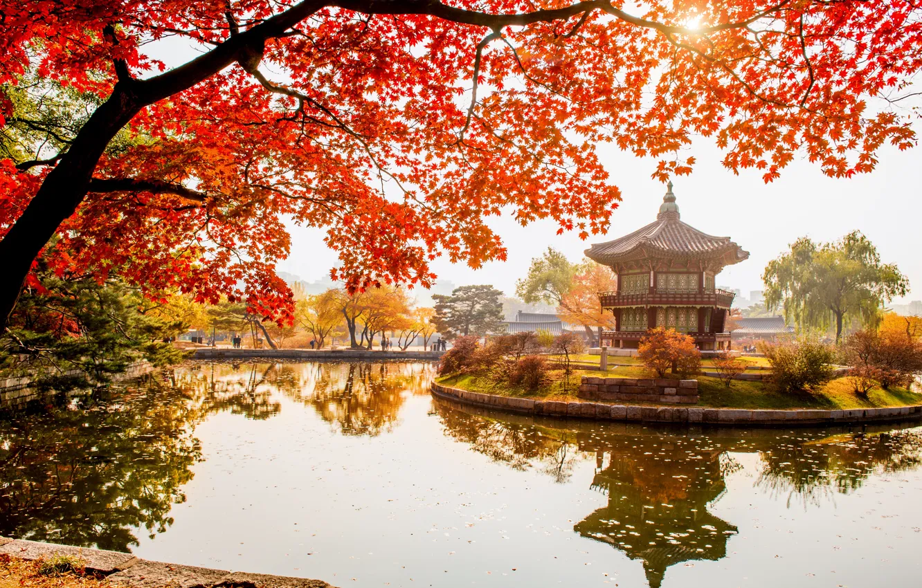 Фото обои осень, листья, деревья, парк, nature, bridge, park, autumn, lake, leaves, tree, Korea, temple