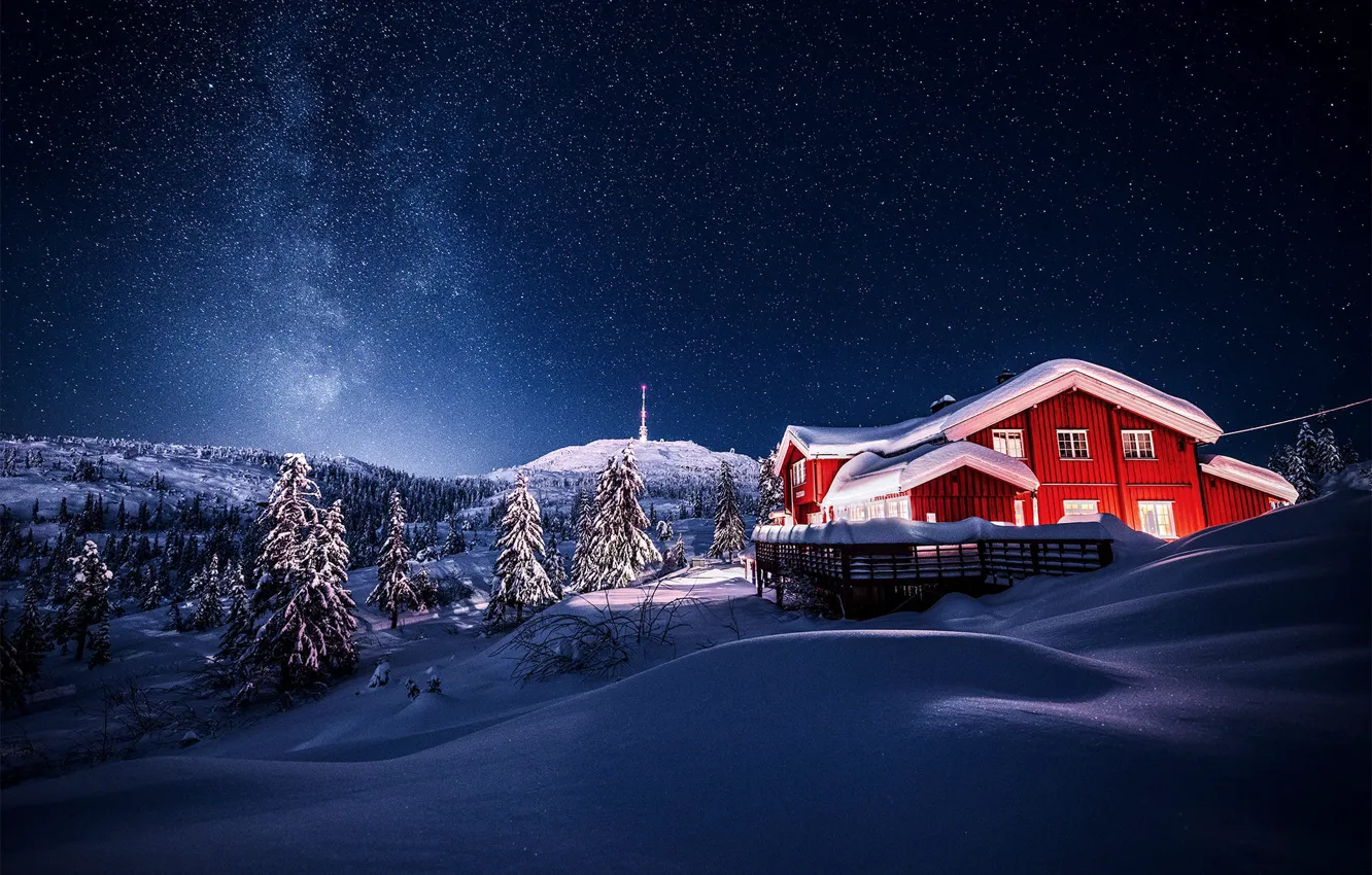 Фото обои зима, небо, снег, деревья, пейзаж, природа, город, дом, звёзды, ели, Норвегия, леса, коммуна, Kongsberg, Конгсберг