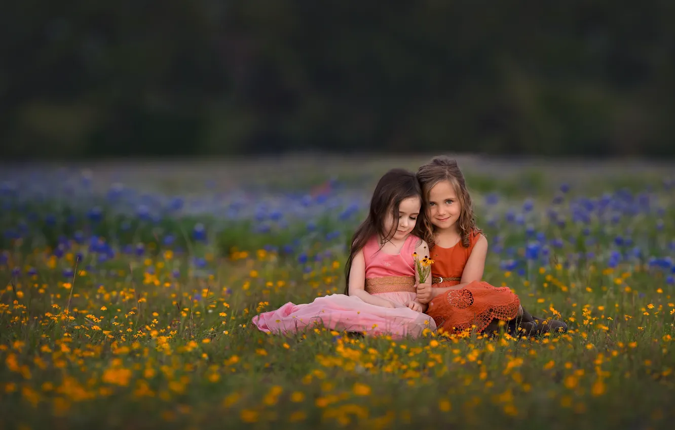 Фото обои цветы, природа, дети, девочки, луг, травы, Lisa Holloway